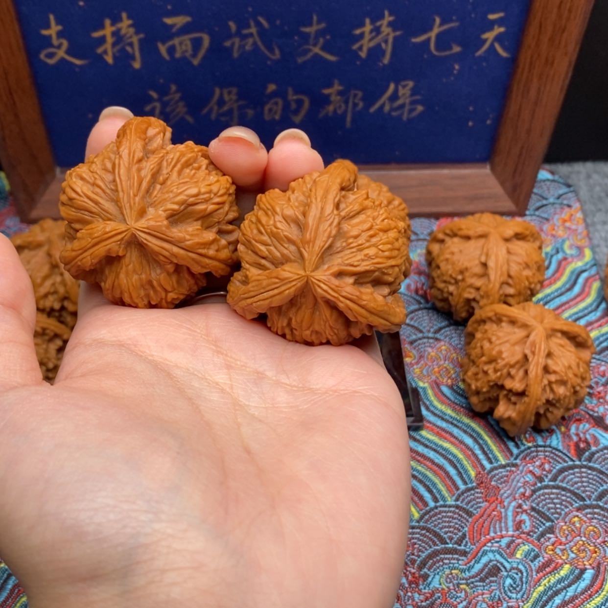 【闪购商品】卋*白狮
