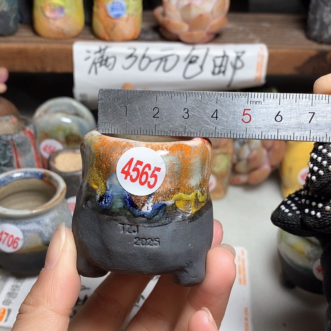 红陶拍5送一个小