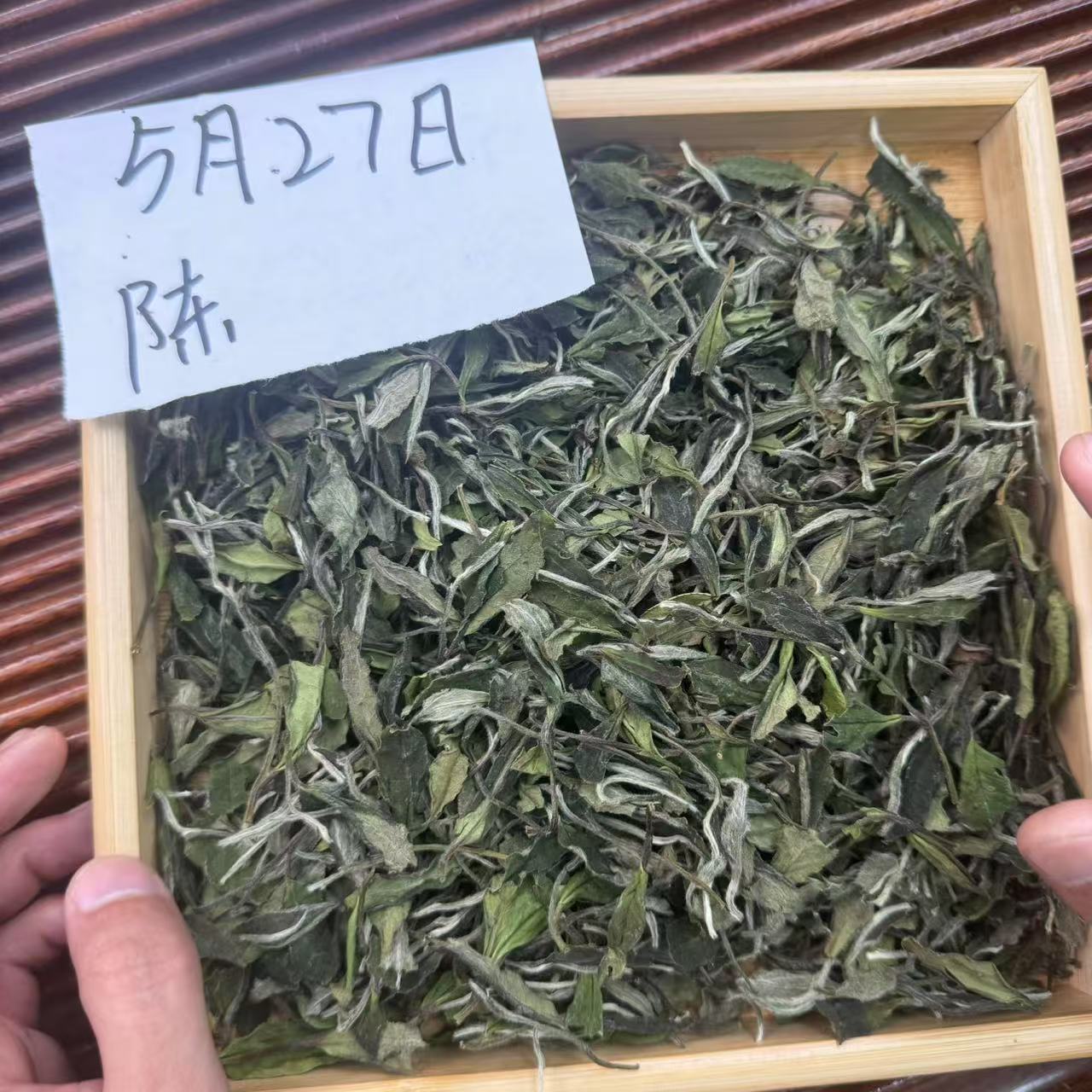 【5月27】福鼎白茶·2024·白牡丹·荒野一级·点头镇