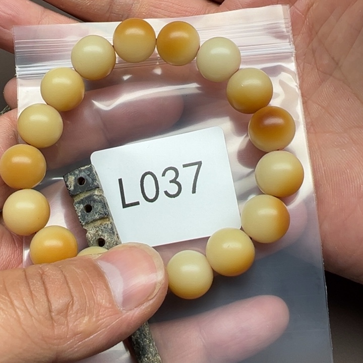 菩提根/象牙果吊坠呆*