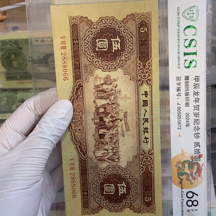 黄五066………………………………