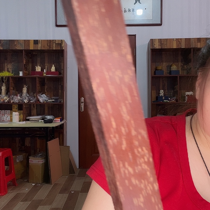 大果紫檀（缅甸花梨）1411