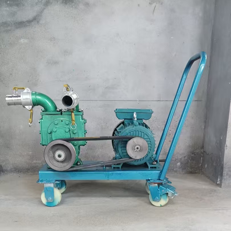 4千瓦家用电泵头加电机加推车一整套