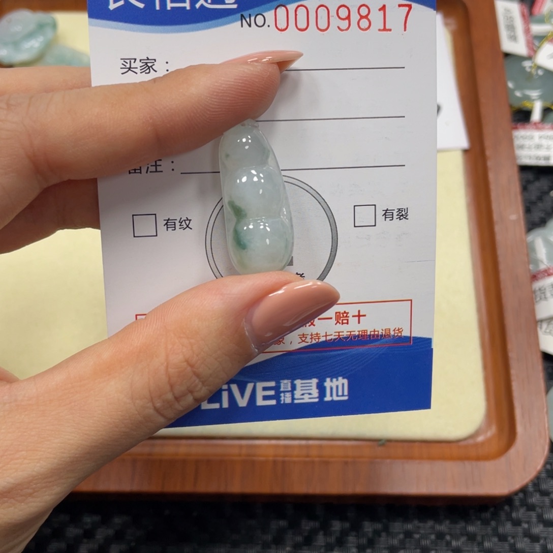 翡翠颈饰未镶嵌翡翠吊坠x 9817