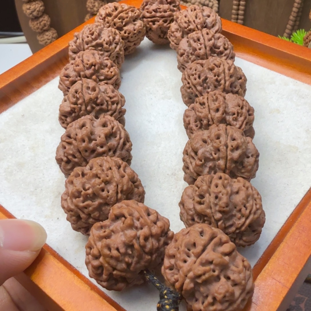 金刚菩提吊坠25➕粗筋拉钩梅花王飞碟桩爆肉珍藏