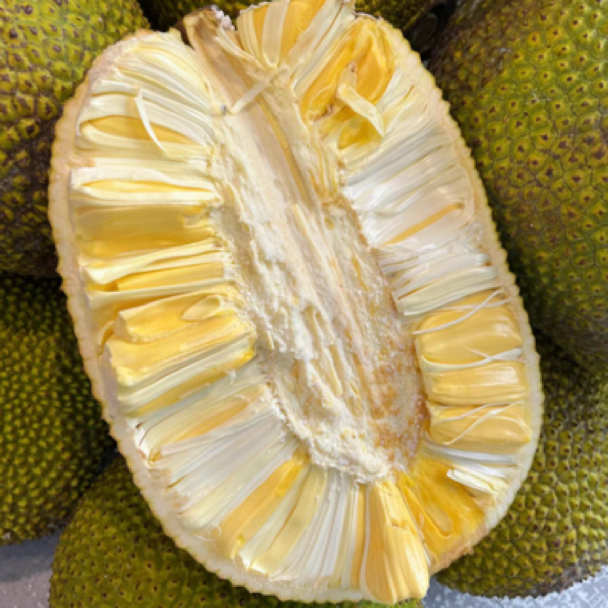 菠萝蜜一个按斤称