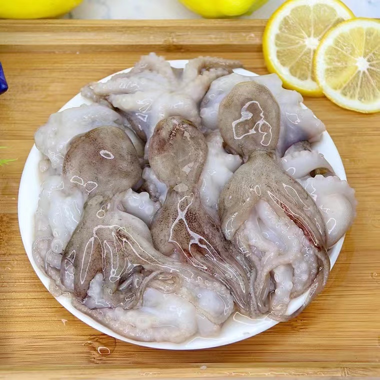 青岛野生短腿八爪鱼/章鱼（每斤10-15个）共4斤 鲜货速冻后发顺丰