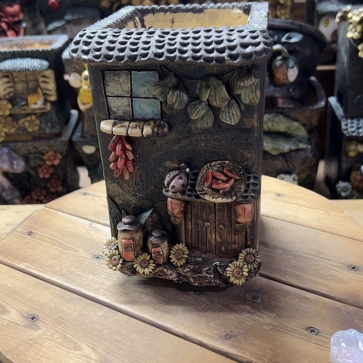 青藤多肉花盆百搭