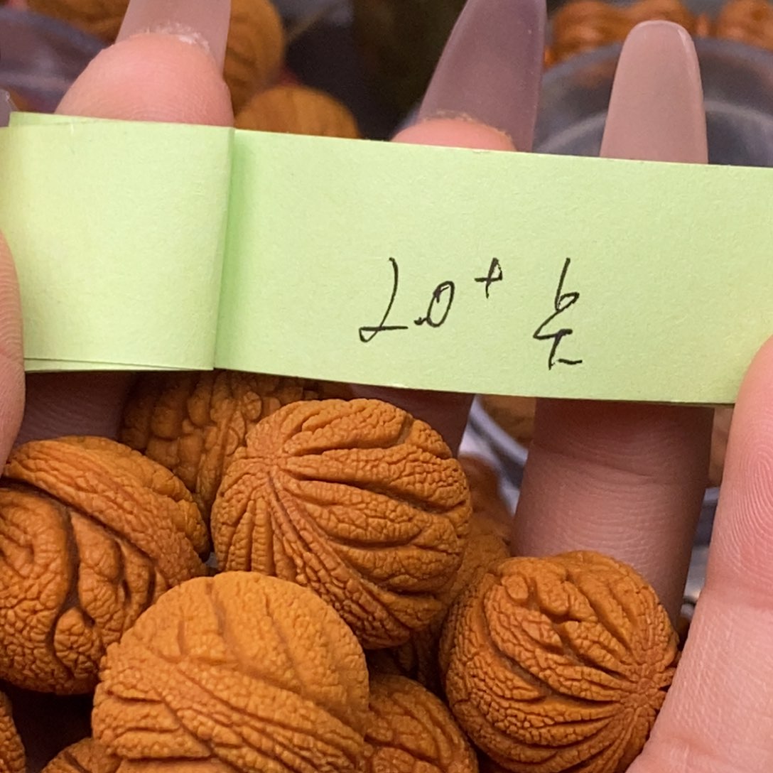 秦岭山脉龙纹桃核 13