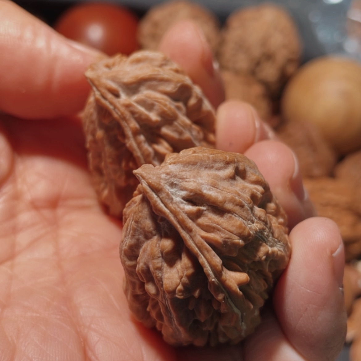 【闪购商品】把件文玩核桃东北楸子5