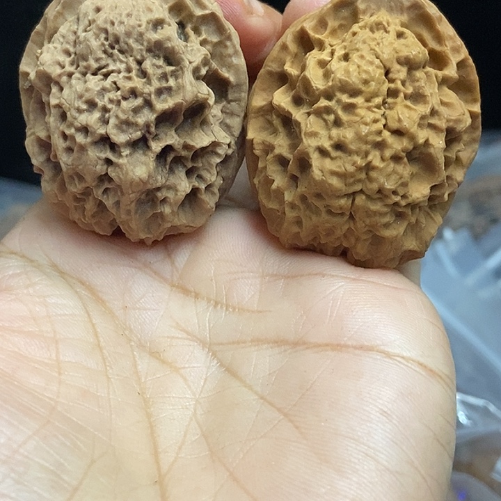 文玩核桃把件云南铁核桃基地32