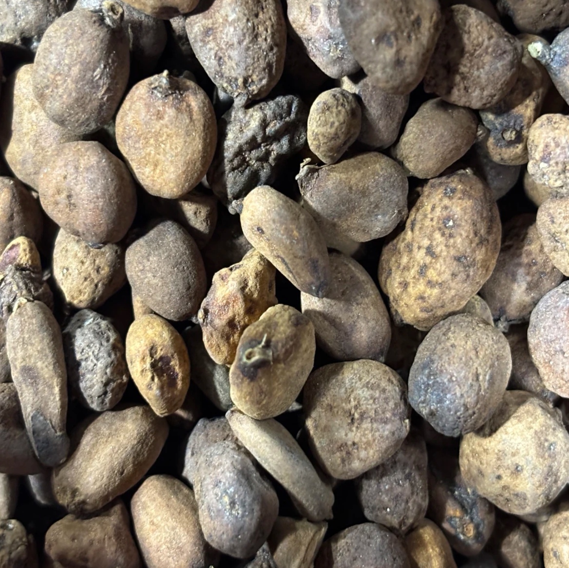 【地下明珠】云南高山珍品