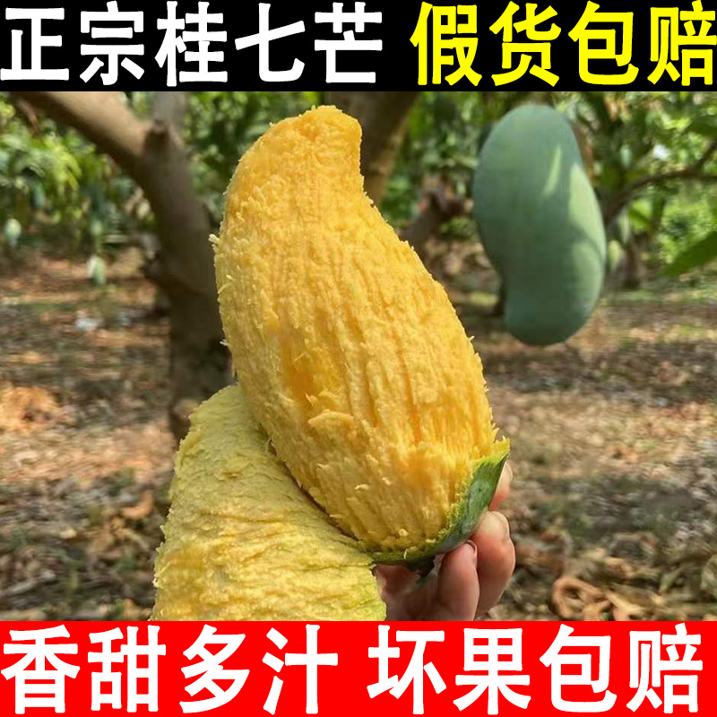 广西正宗桂七芒果大果包邮 当应季新鲜水果现摘整箱百色5青皮桂7