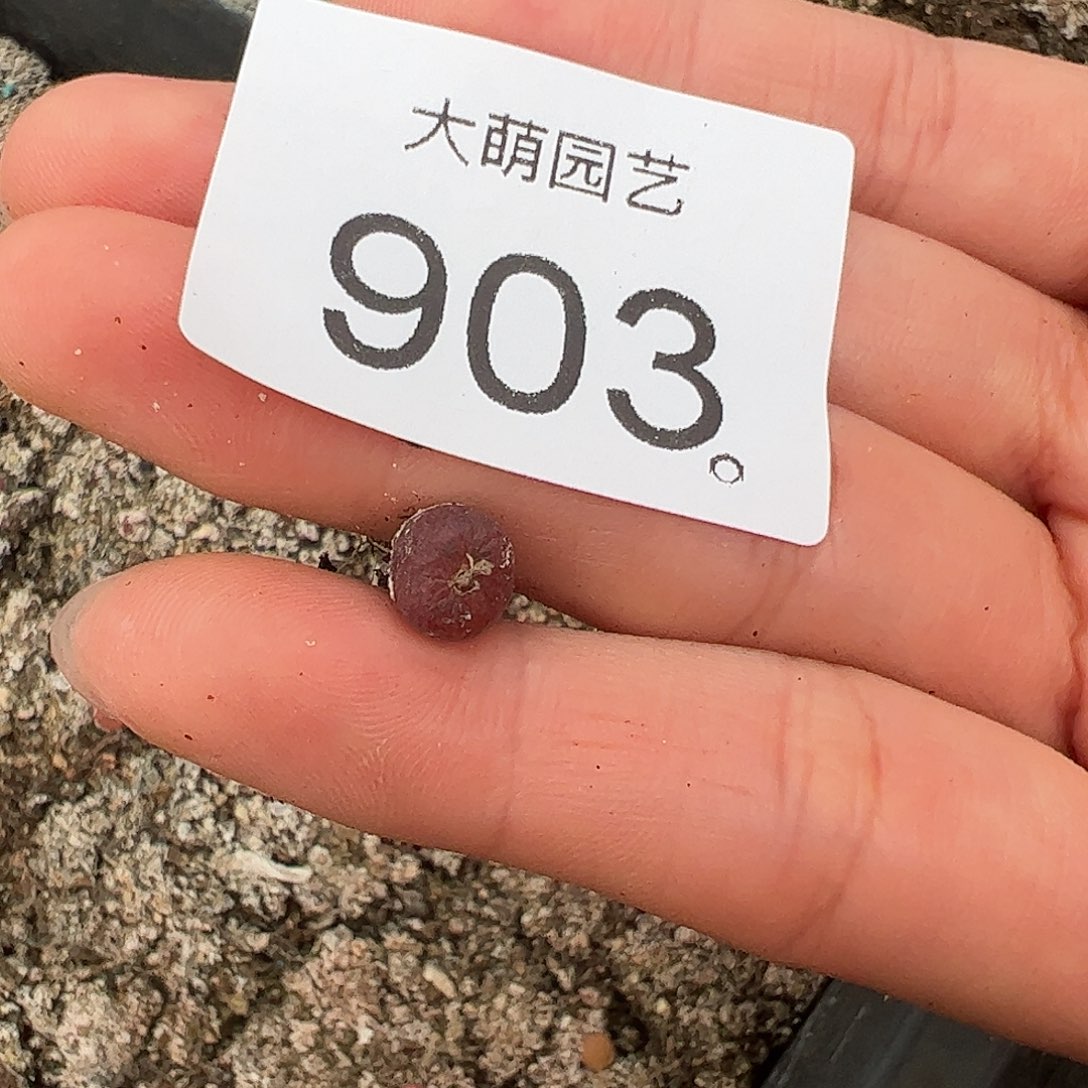 四***吖一物一拍。    903