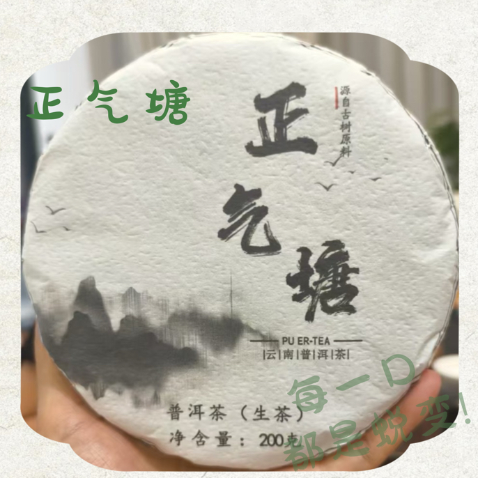 十四严选丨正气塘 古树 纯料普洱茶生茶2025年