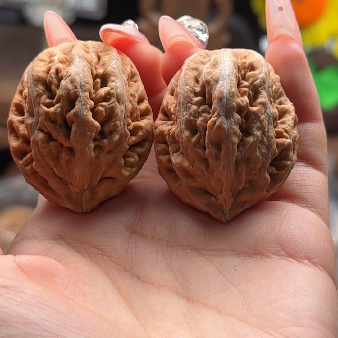 文玩核桃把件关东木子楸百核14