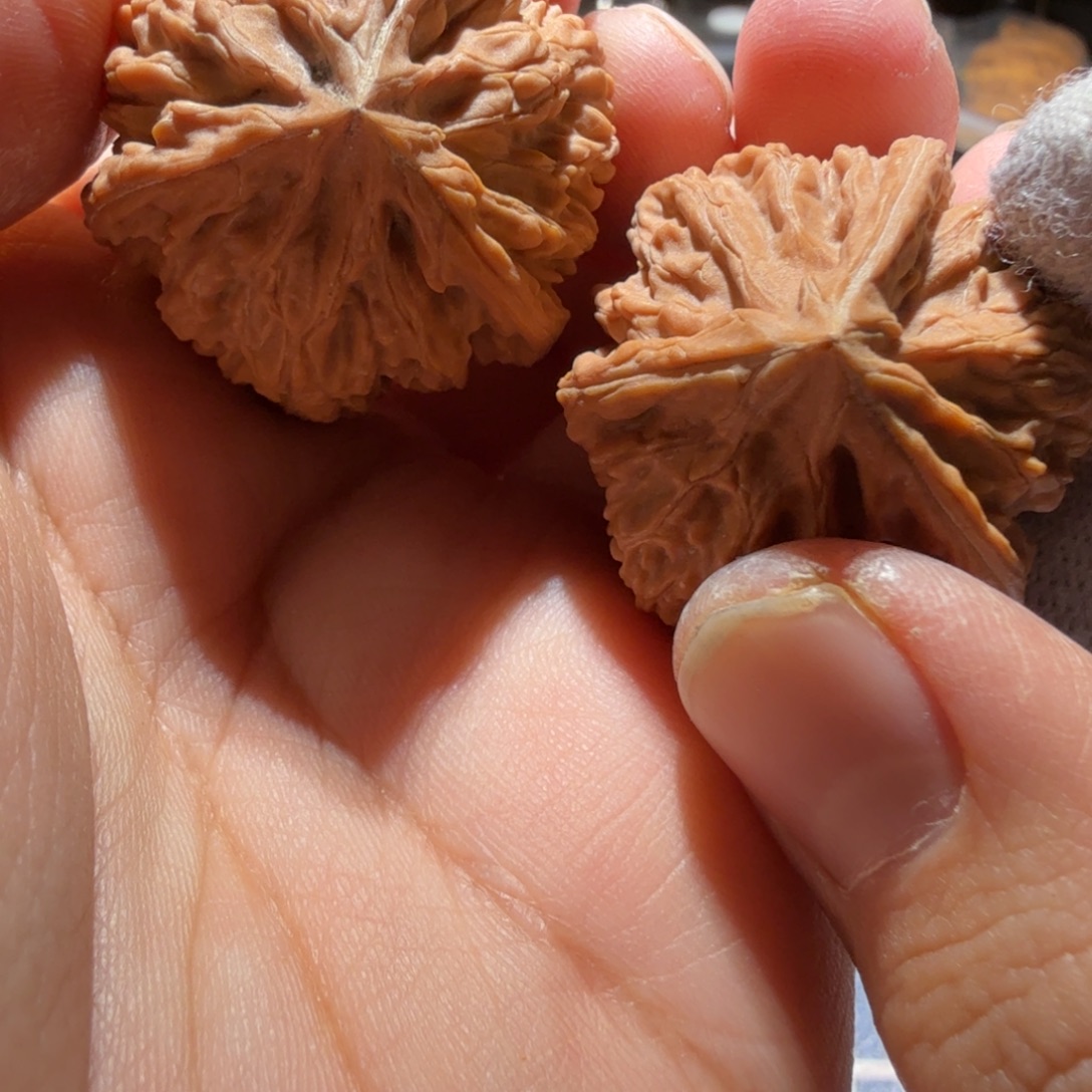 把件文玩核桃御龙正奔