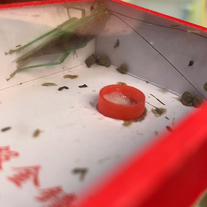 戚***强长短霍氏哈哈哈哈哈哈