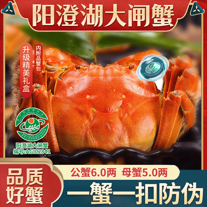 【活蟹】特大阳澄湖大闸蟹礼盒 公蟹6两母蟹5两 4/6/8/10只高标塘养