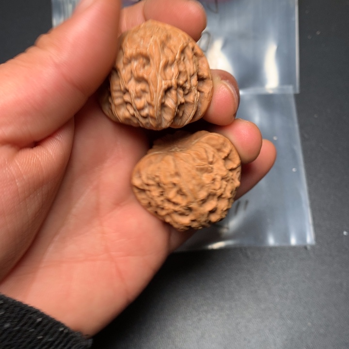 文玩核桃把件38白狮子