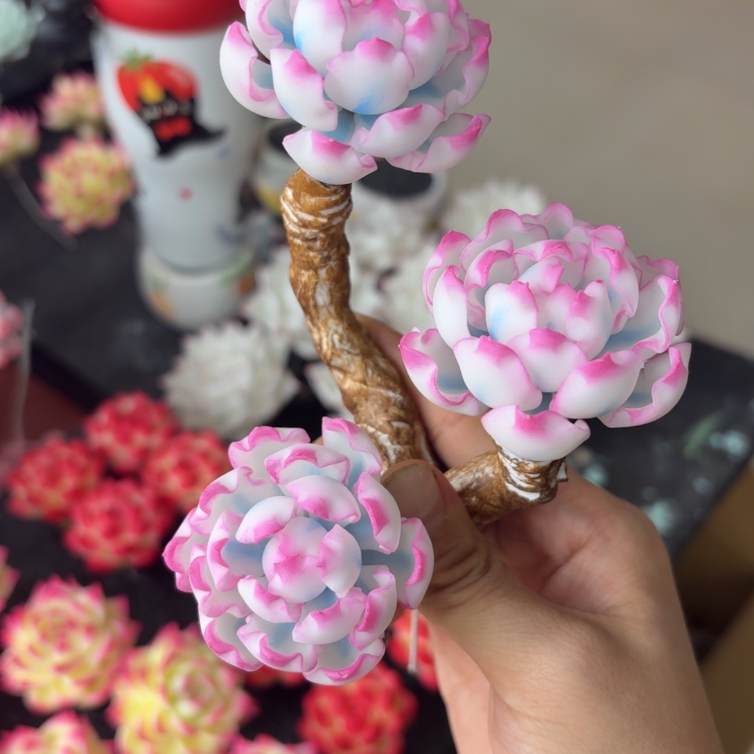 树脂制品10号噢噢噢噢