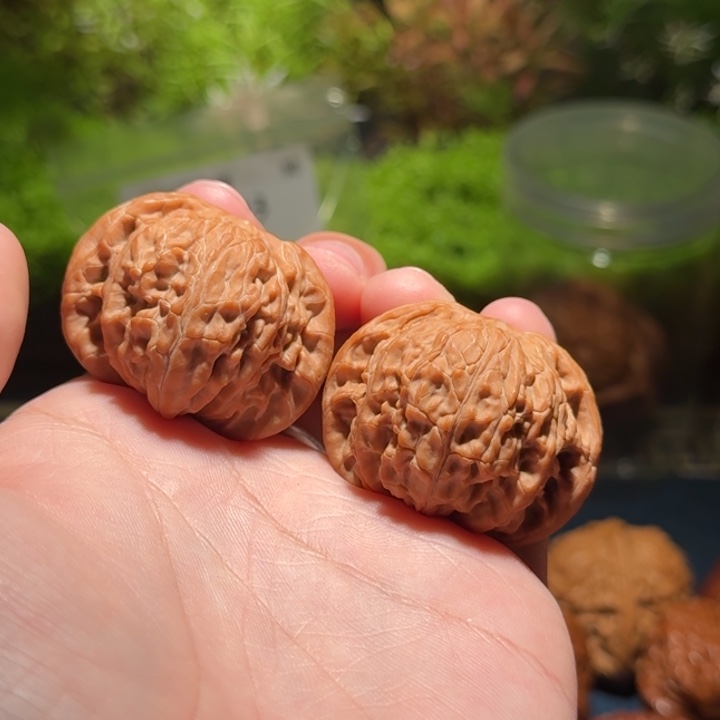 496号41正磨磨盘狮子头文玩核桃