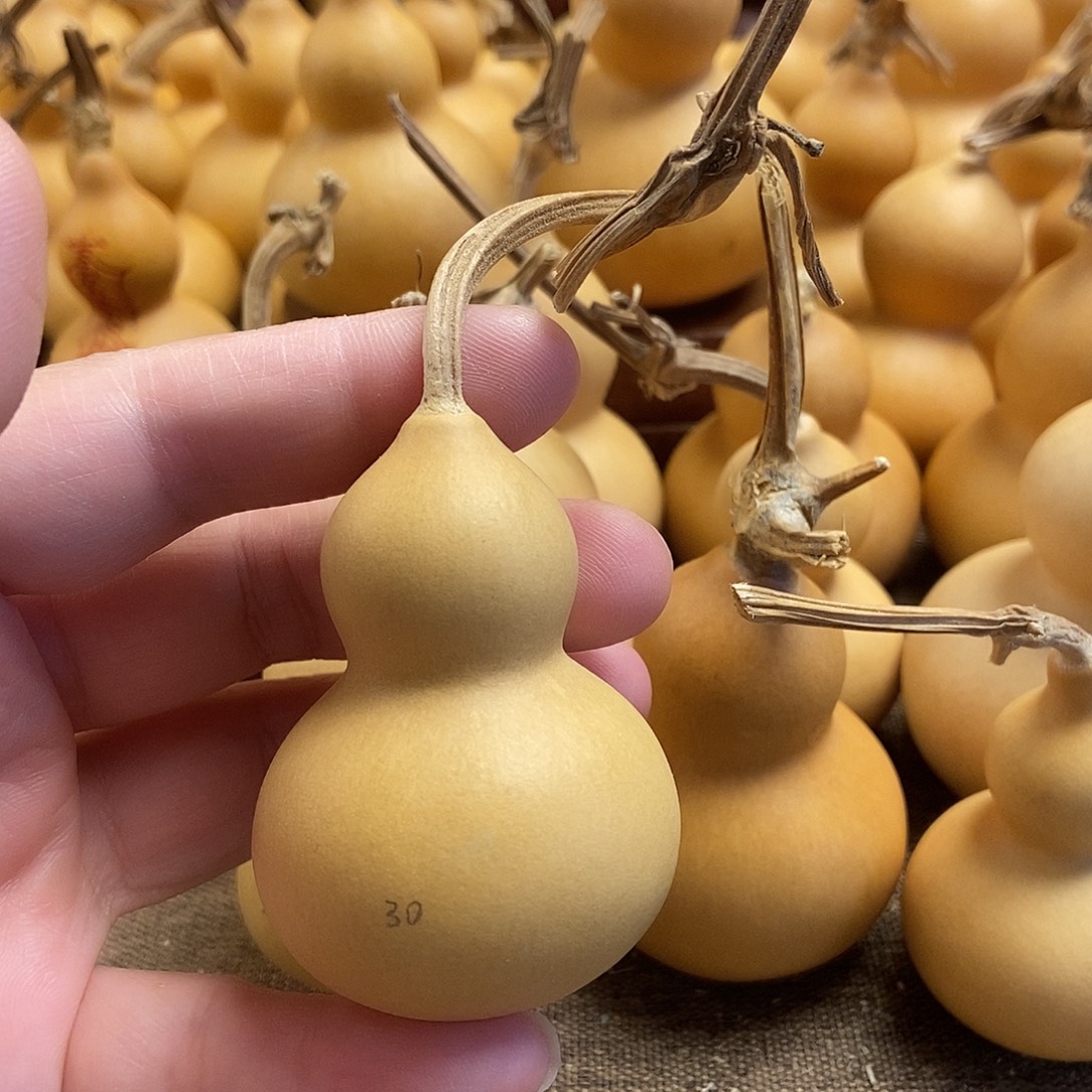 文玩葫芦 完美主义者 慎拍30