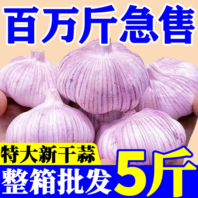 2025年新蒜干大蒜紫皮大蒜多瓣蒜头整箱批发