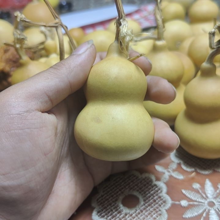 么***哒精品葫芦精品葫芦