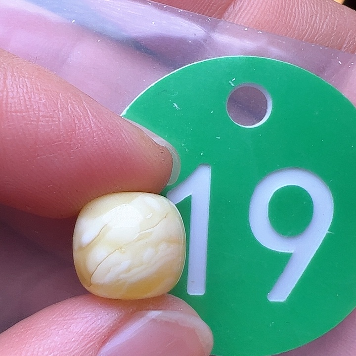 蜜蜡裸石未镶嵌11/10m m