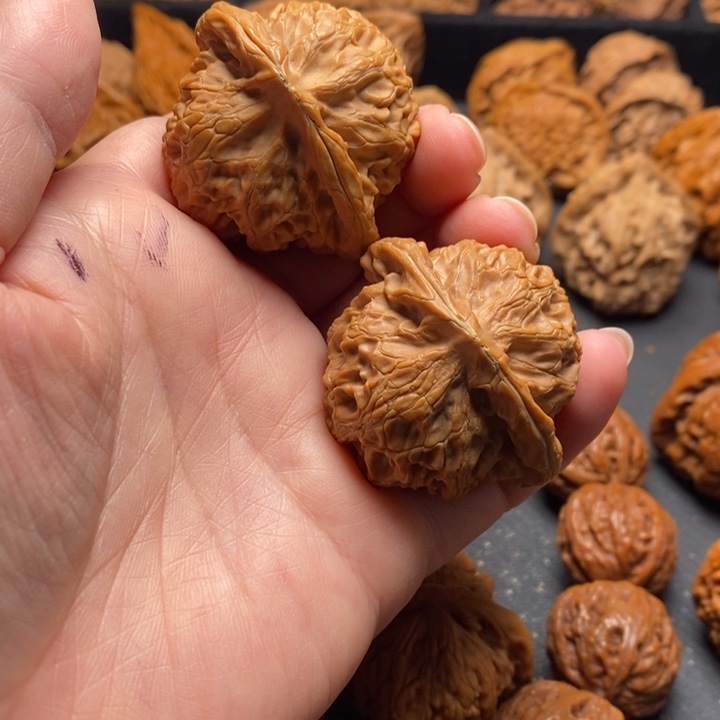 秦岭野生11111111