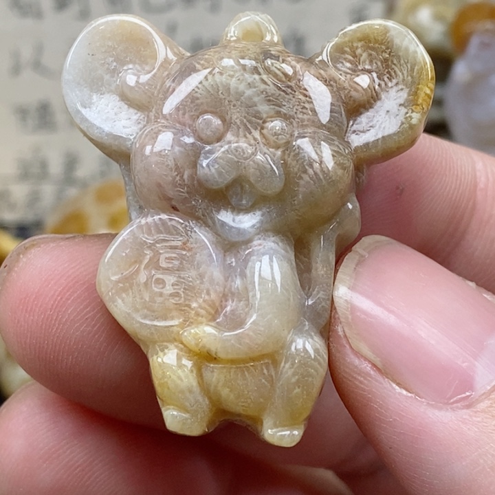 颈饰未镶嵌硅化珊瑚（珊瑚玉）