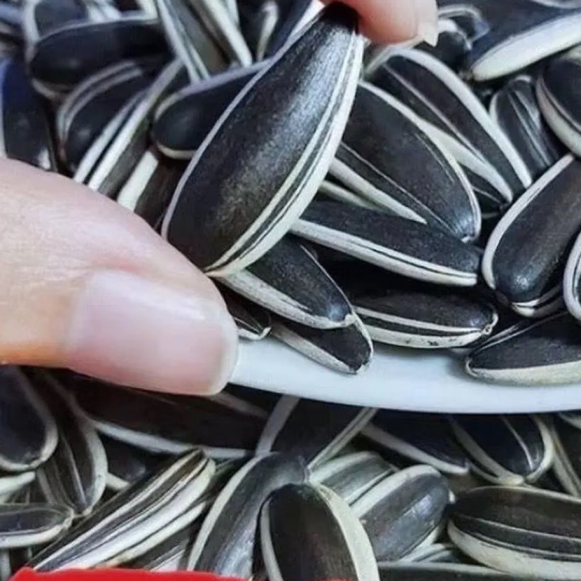 （买一送一）原味生瓜子中颗粒