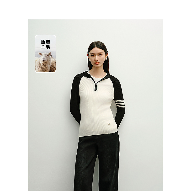 【籽言专属】DC-NICE毛针织衫8310