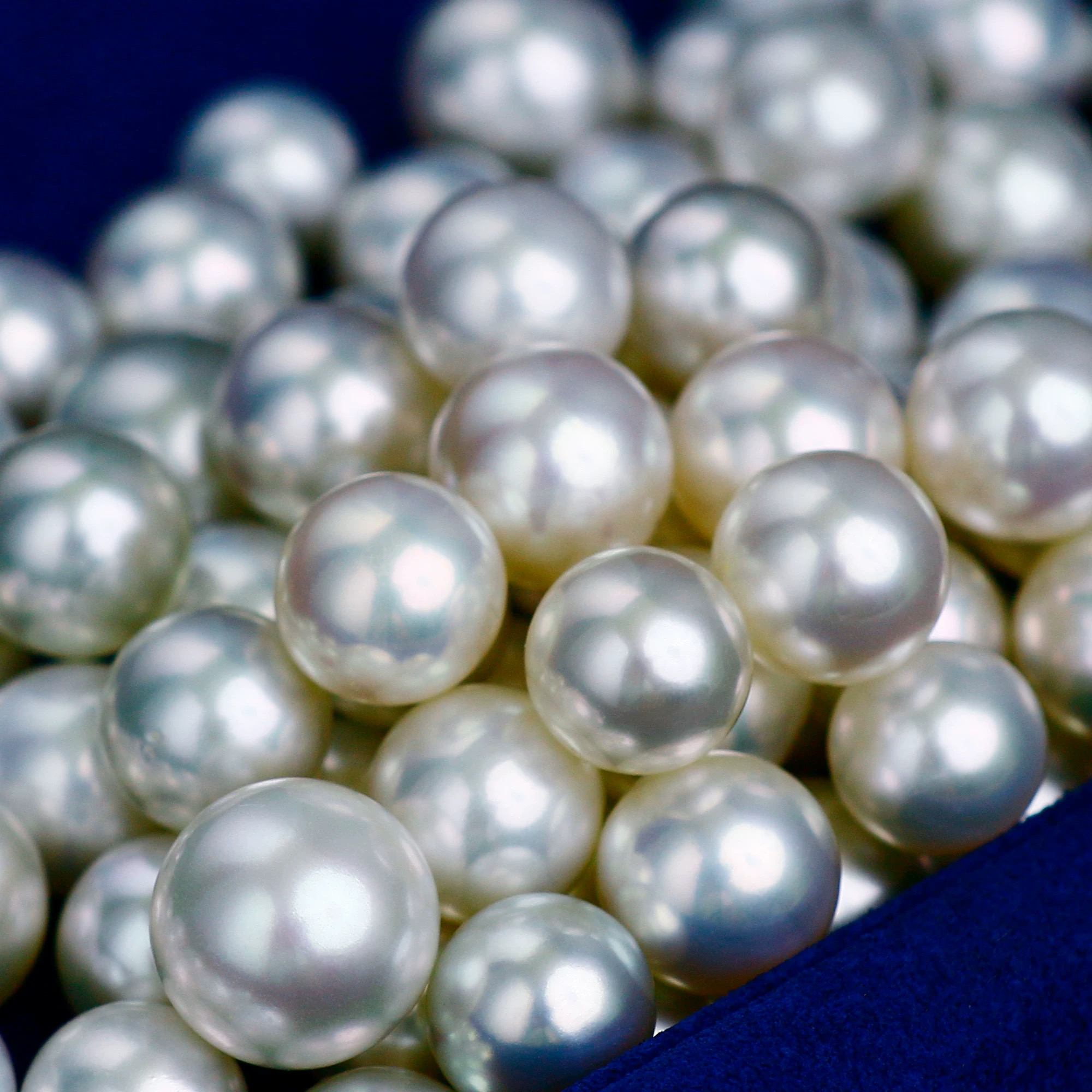 珍珠合集(耳钉戒指吊坠）