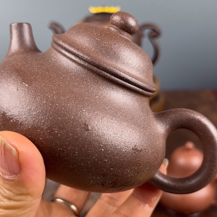 紫砂茶壶你也别多管啦