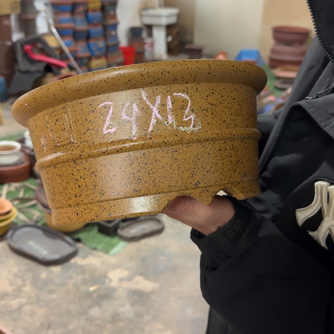 紫砂花盆呜呜呜呜