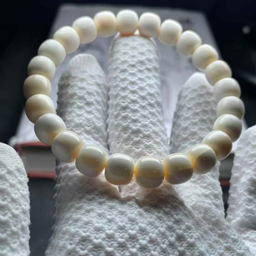 虬皮肉老型单圈皮肉9x8. 平替版独肉润度绝绝子精品