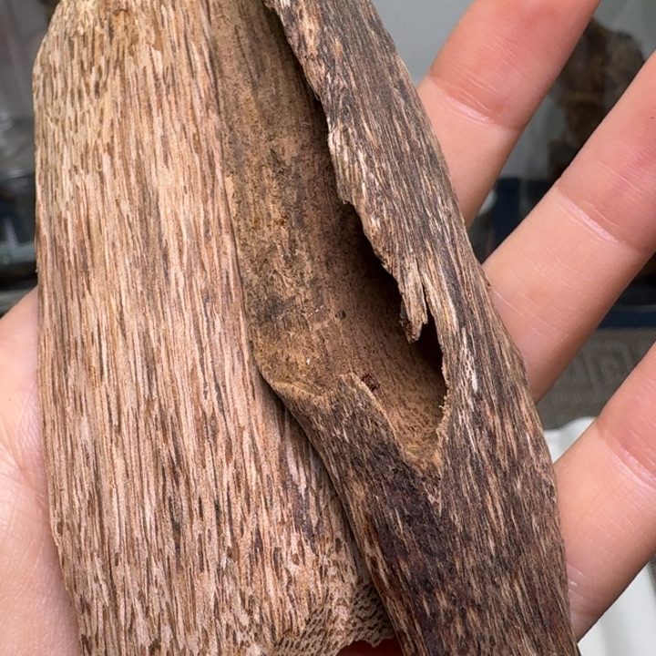 香榧木海南大山淳化虫漏香26克