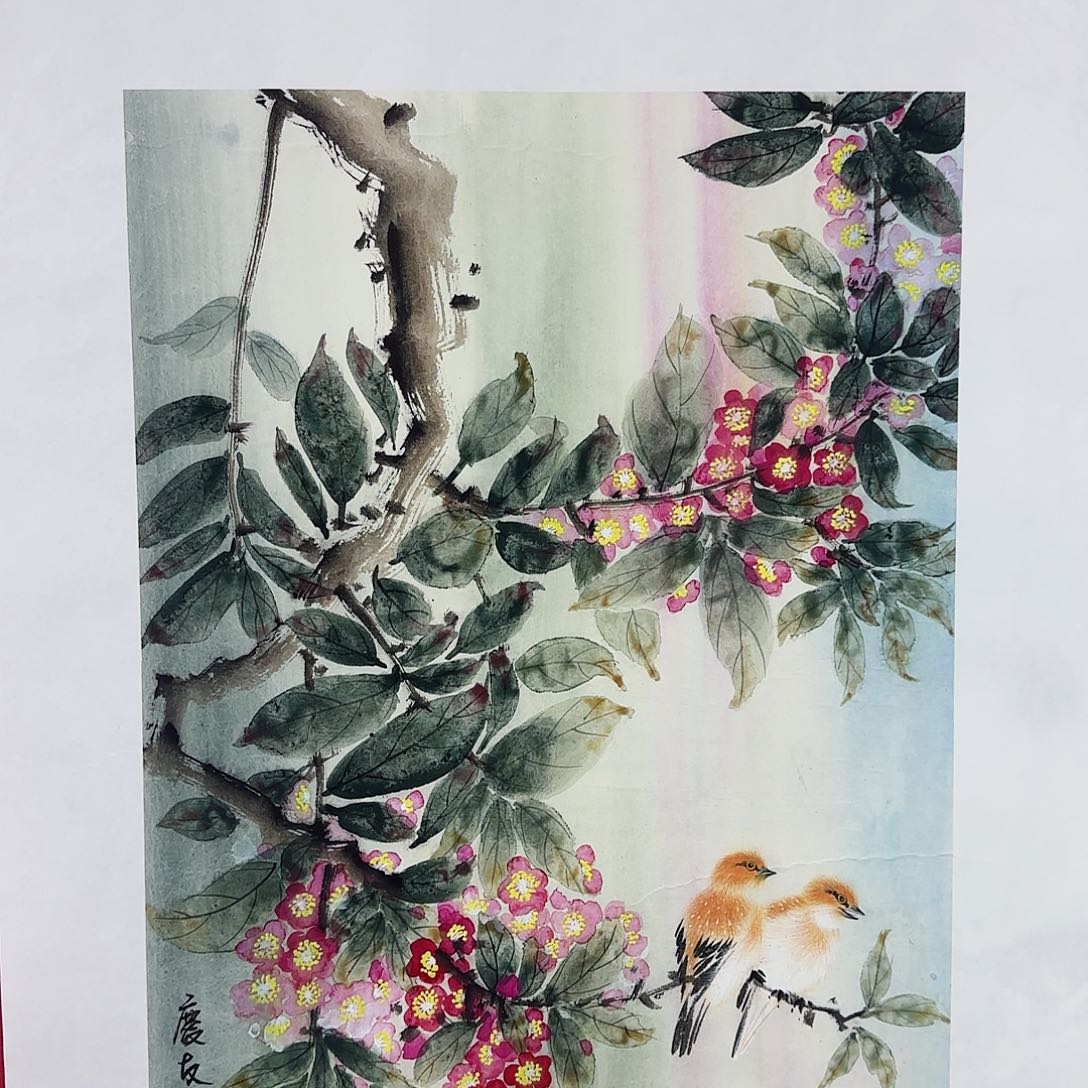 国画红皮书指出该公司