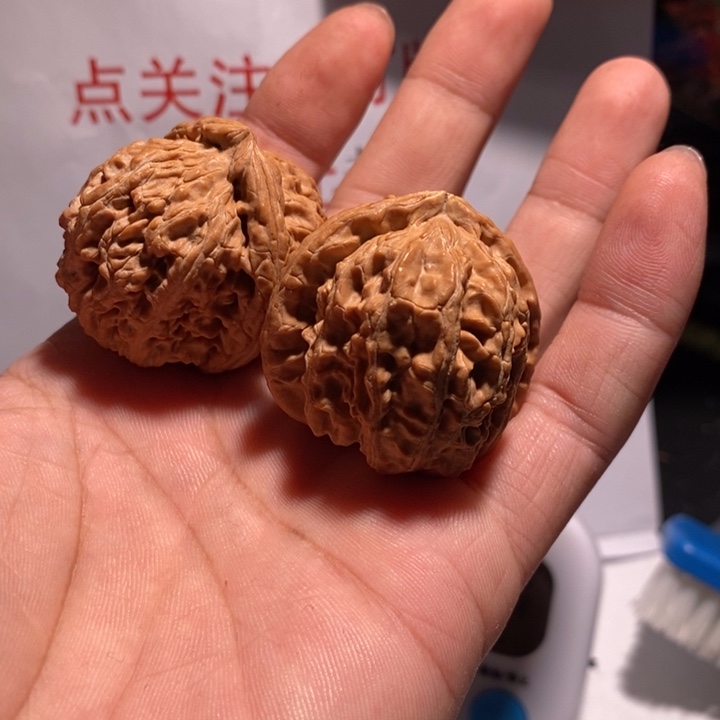 把件文玩核桃白狮子