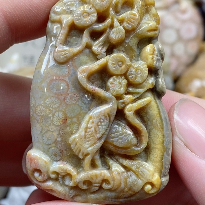 颈饰未镶嵌硅化珊瑚（珊瑚玉）有瑕