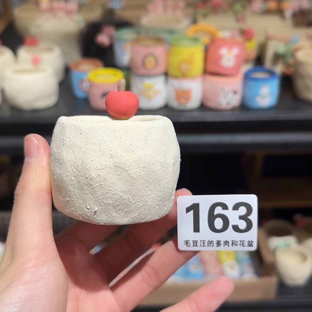 163 口4 福利特惠 花盆 