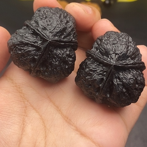 文玩核桃把件41尺云南核桃