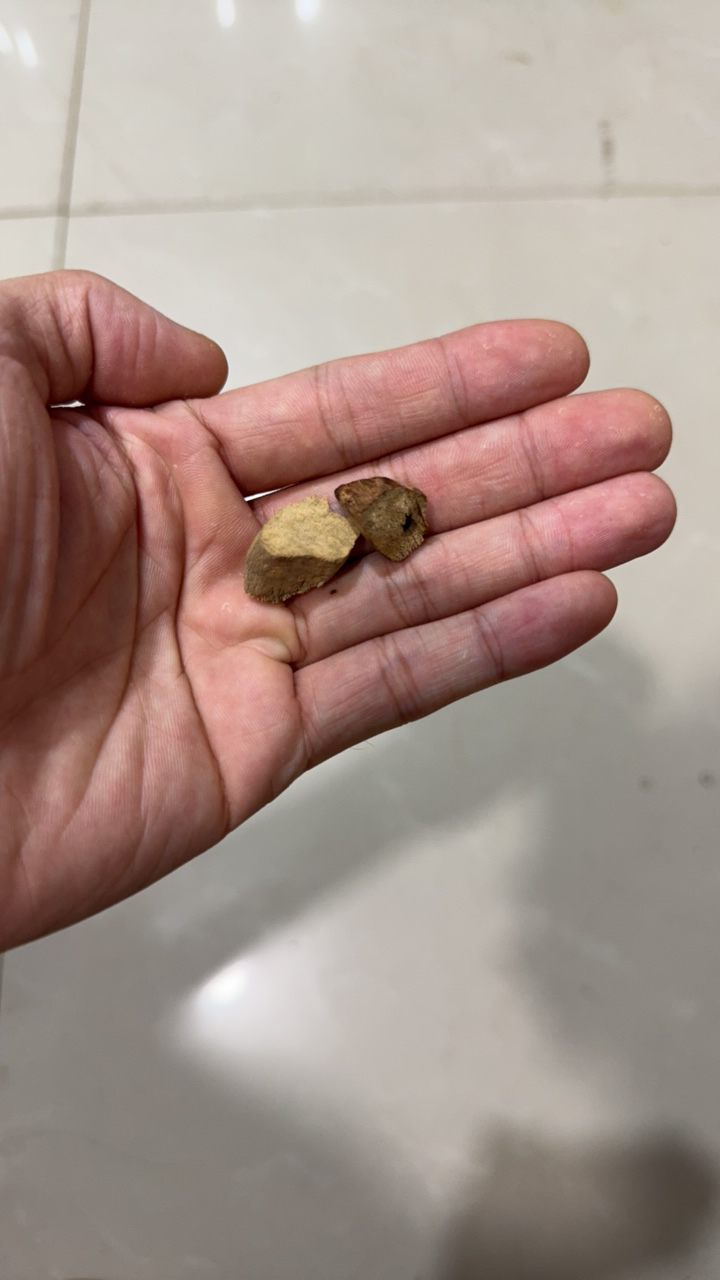 沉香正区达拉干熏香料