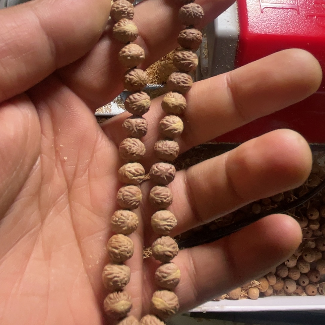 凤眼菩提吊坠野生酸枣核