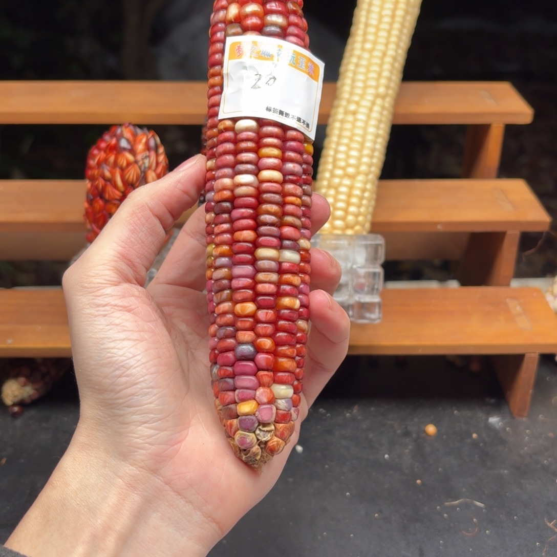 大****银S925我我我我我我我