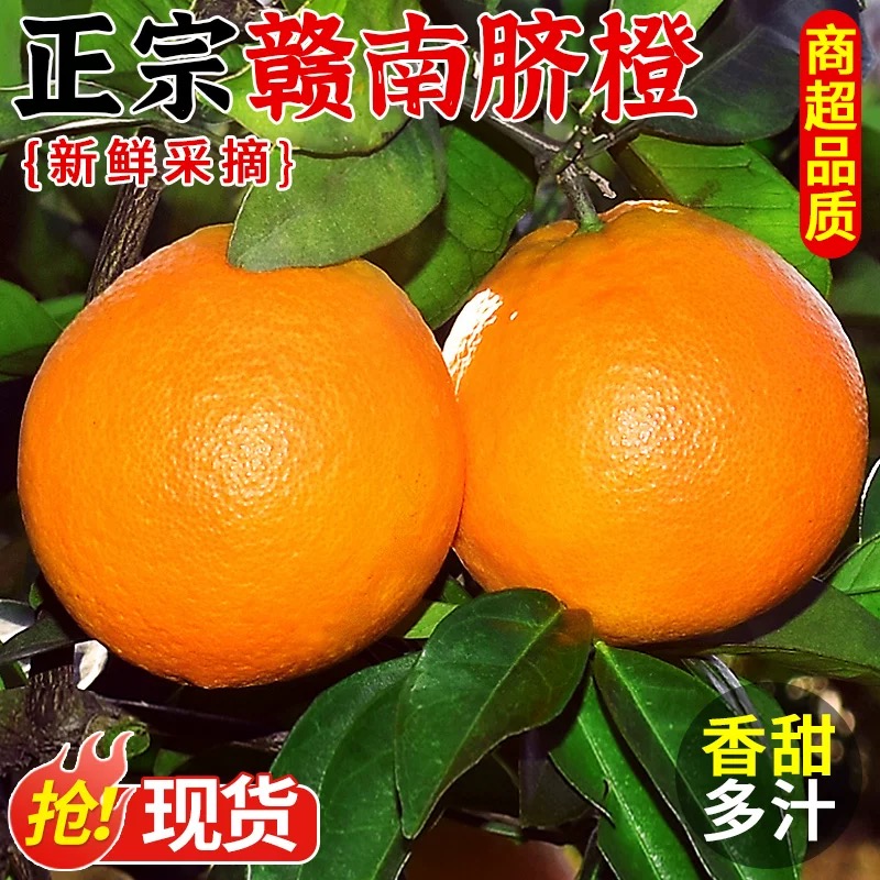 正宗赣南老树脐橙，现摘现发，5斤10斤，鲜果新鲜细嫩多汁维C水果