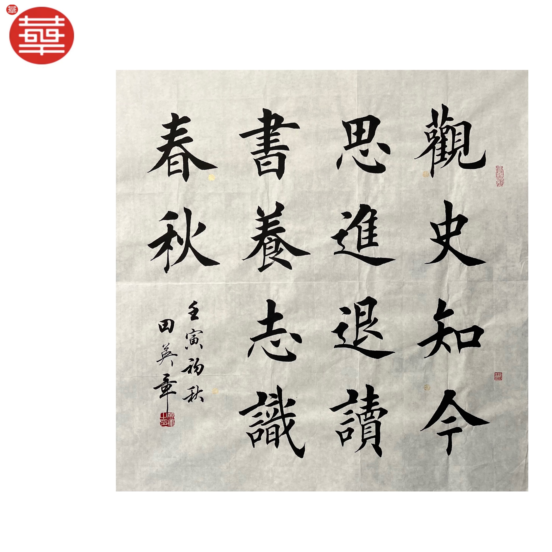 TYZ 书法纸本镜心《观史知今》68×68