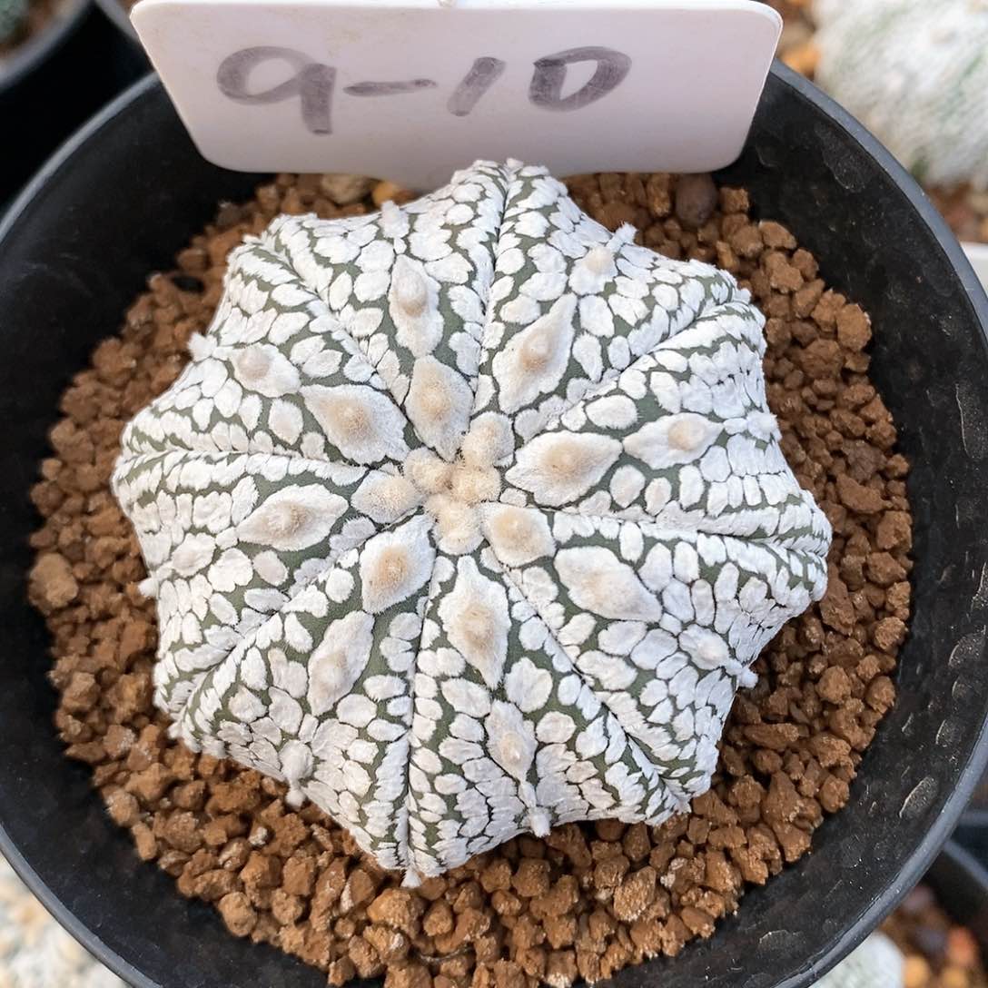 福利待遇也不错的呢